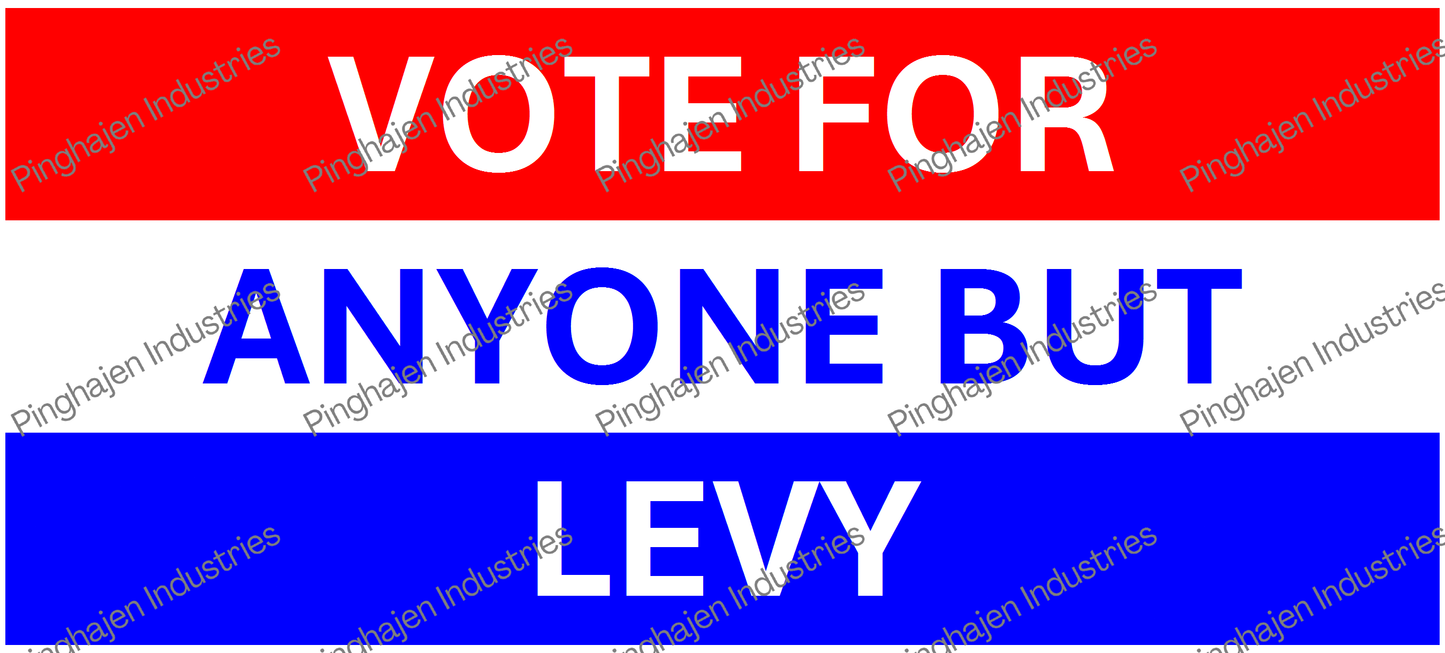 Vote for anyone but LEVY | White Glossy Mug