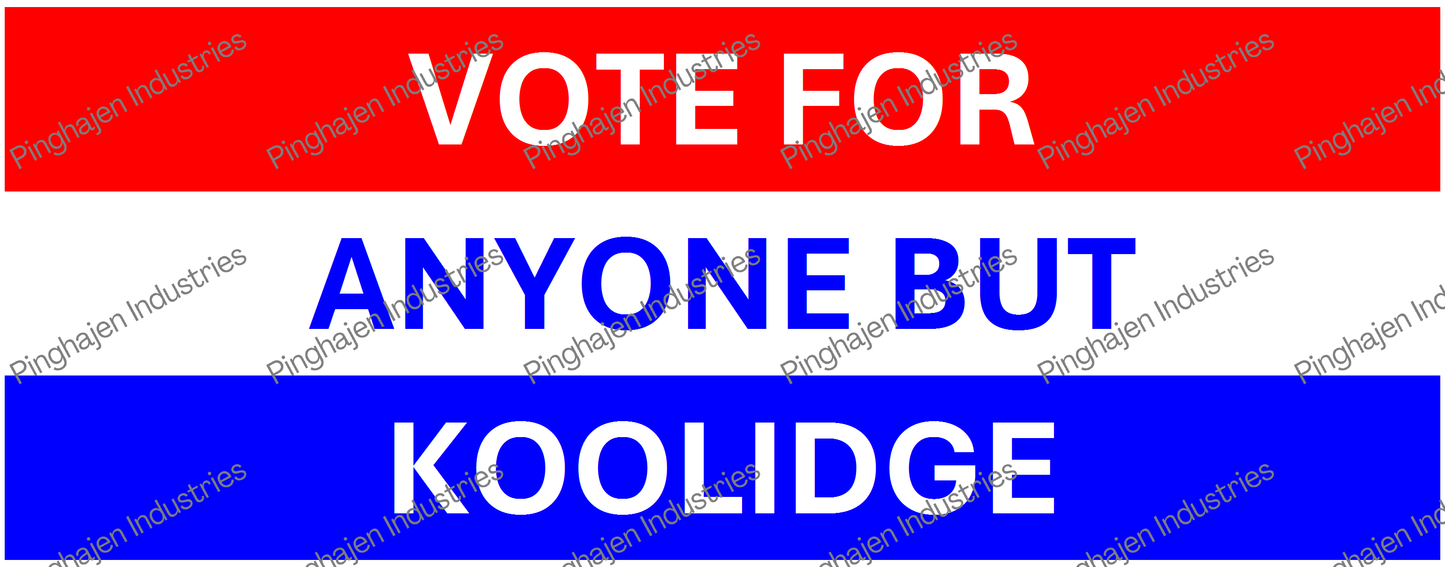 Vote for anyone but KOOLIDGE | White Glossy Mug