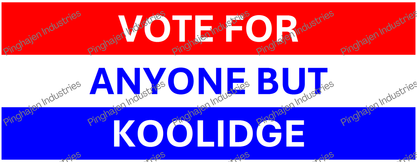 Vote for anyone but KOOLIDGE | White Glossy Mug