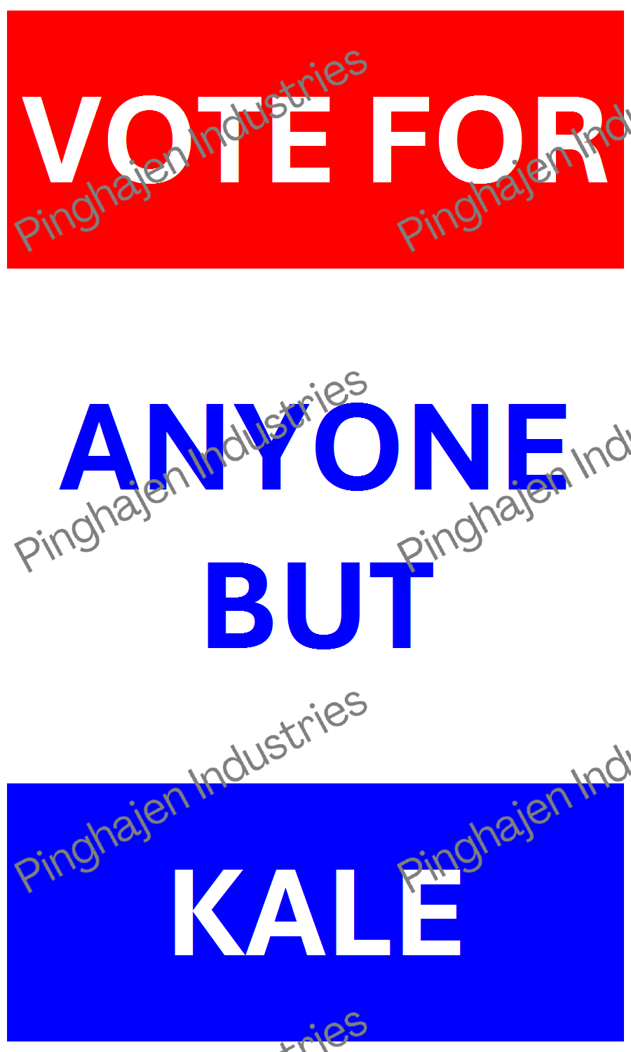 Vote for anyone but KALE | Hardcover Bound Notebook | JournalBook®