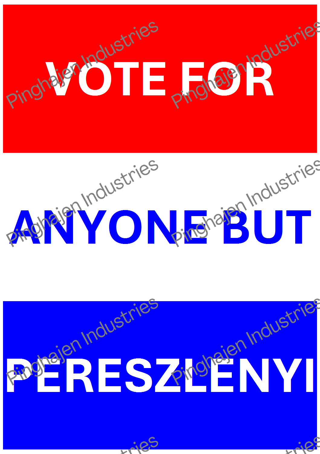 Vote for anyone but PERESZLENYI | Hardcover Bound Notebook | JournalBook®