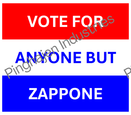 Vote for anyone but ZAPPONE | Unisex Classic Tee | Gildan 5000