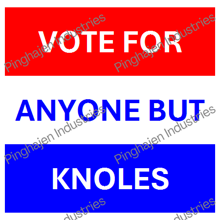 Vote for anyone but KNOLES | Unisex Classic Tee | Gildan 5000