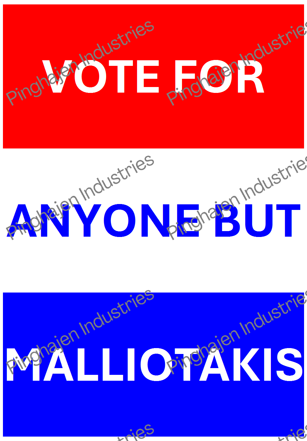 Vote for anyone but MALLIOTAKIS | Hardcover Bound Notebook | JournalBook®