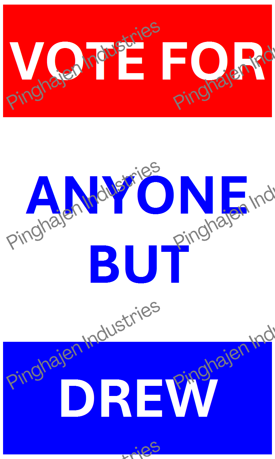 Vote for anyone but DREW | Hardcover Bound Notebook | JournalBook®