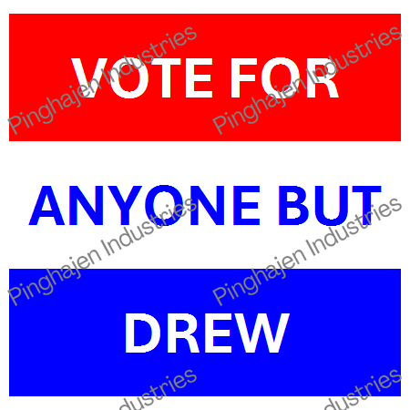Vote for anyone but DREW | Unisex Classic Tee | Gildan 5000