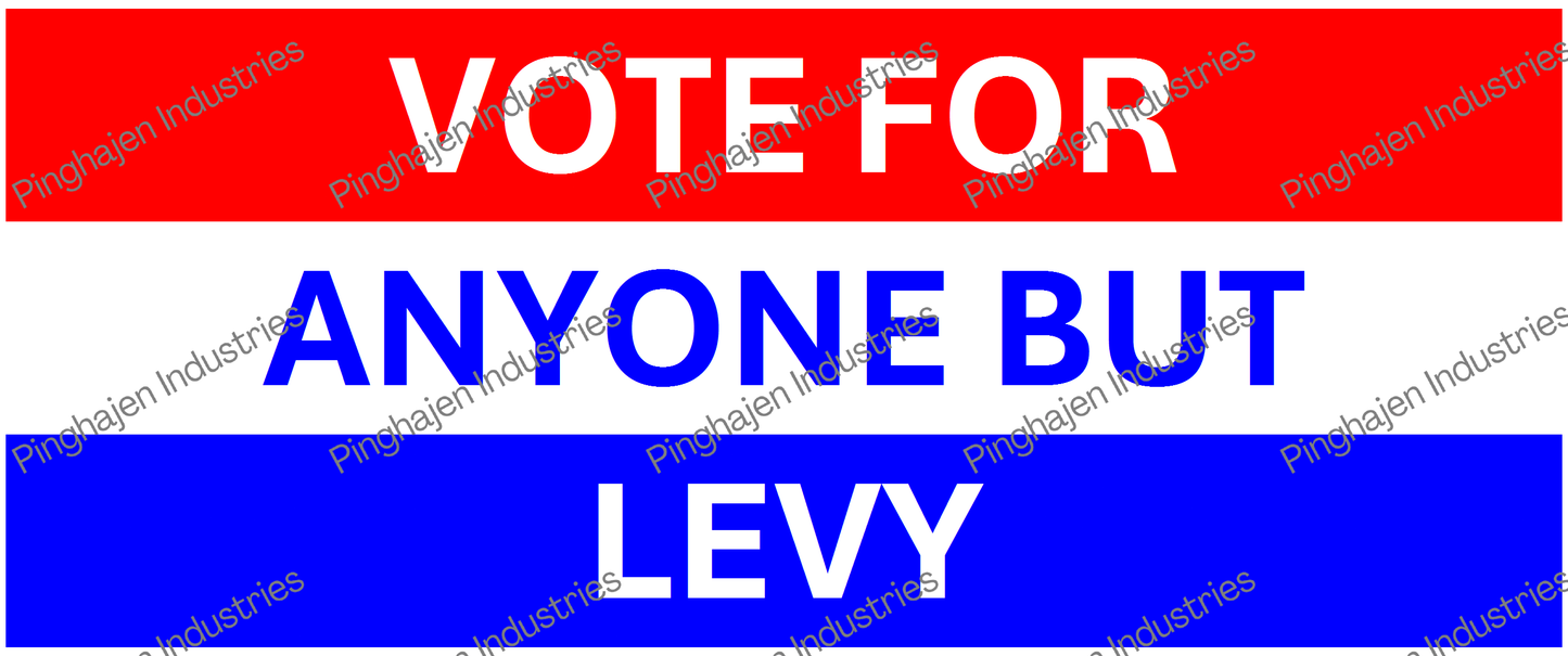 Vote for anyone but LEVY | White Glossy Mug