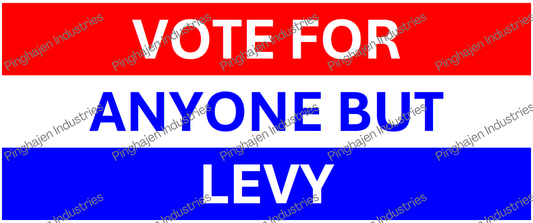 Vote for anyone but LEVY | White Glossy Mug