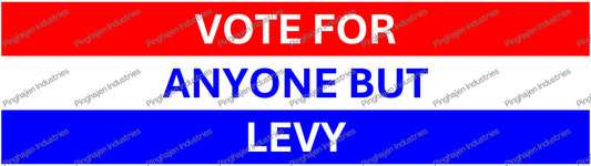 Vote for anyone but LEVY | Kiss-Cut Stickers