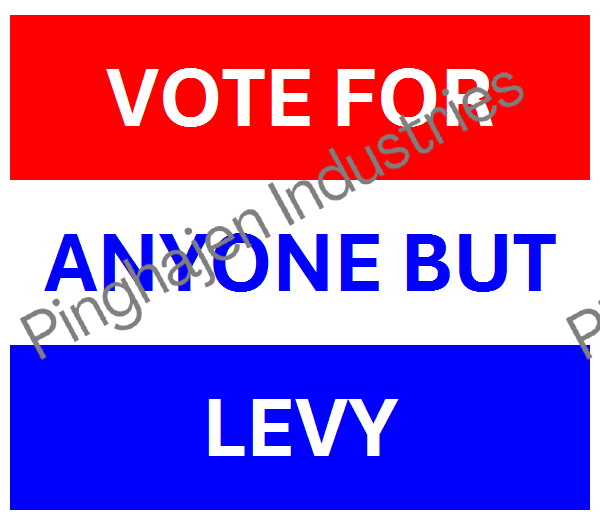 Vote for anyone but LEVY | Unisex Classic Tee | Gildan 5000
