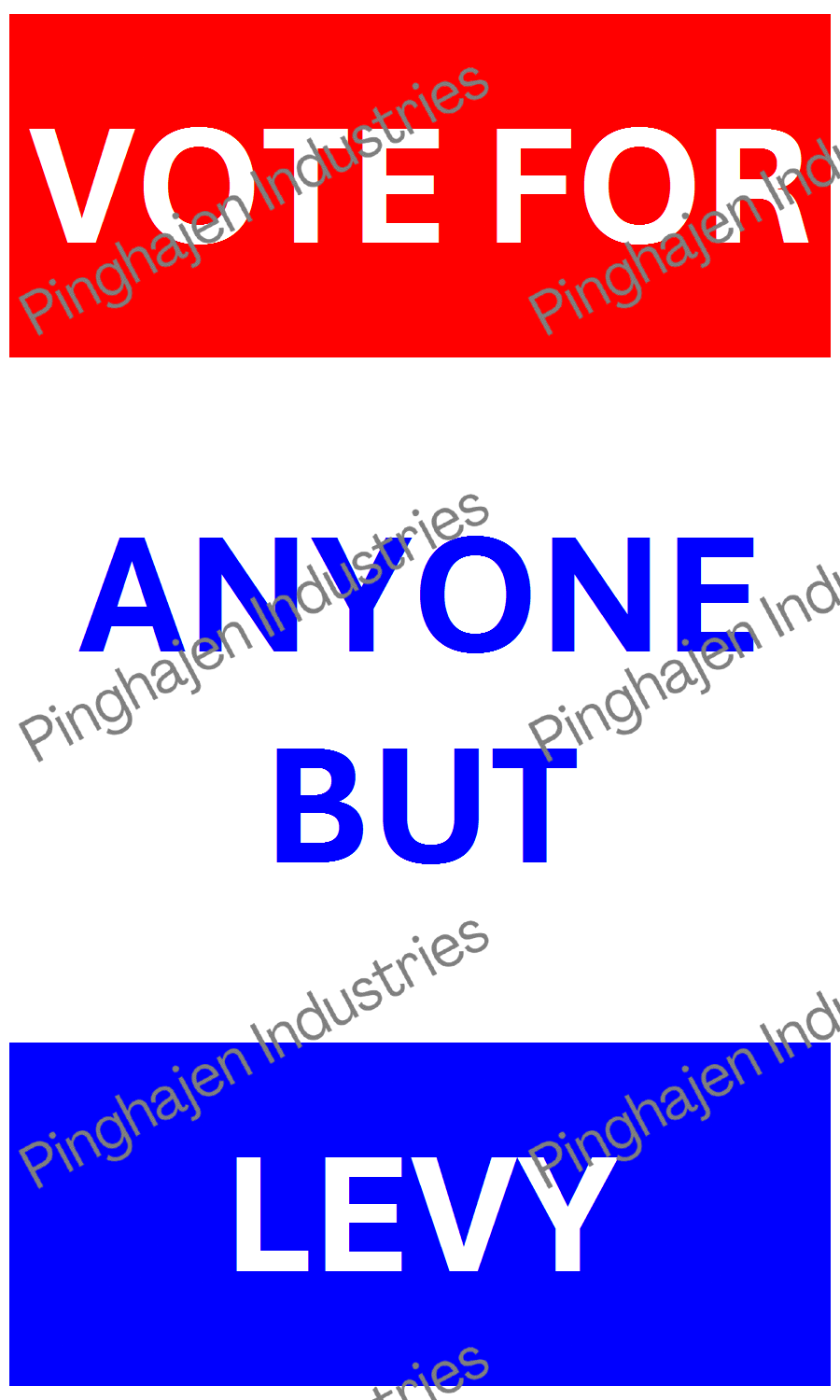 Vote for anyone but LEVY | Hardcover Bound Notebook | JournalBook®