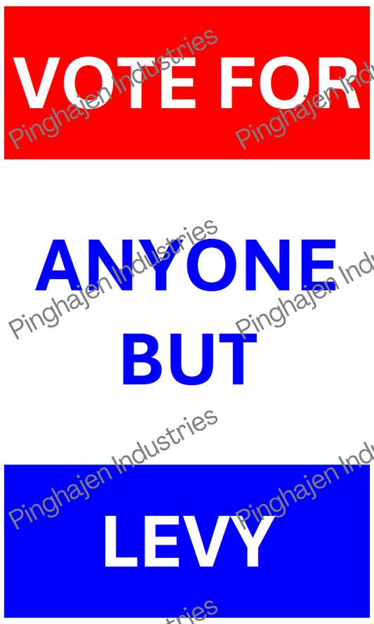 Vote for anyone but LEVY | Hardcover Bound Notebook | JournalBook®