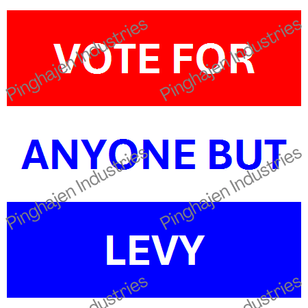 Vote for anyone but LEVY | Unisex Classic Tee | Gildan 5000