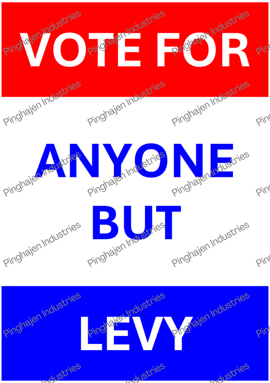 Vote for anyone but LEVY | Kiss-Cut Sticker Sheet