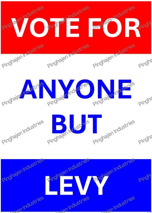 Vote for anyone but LEVY | Kiss-Cut Sticker Sheet