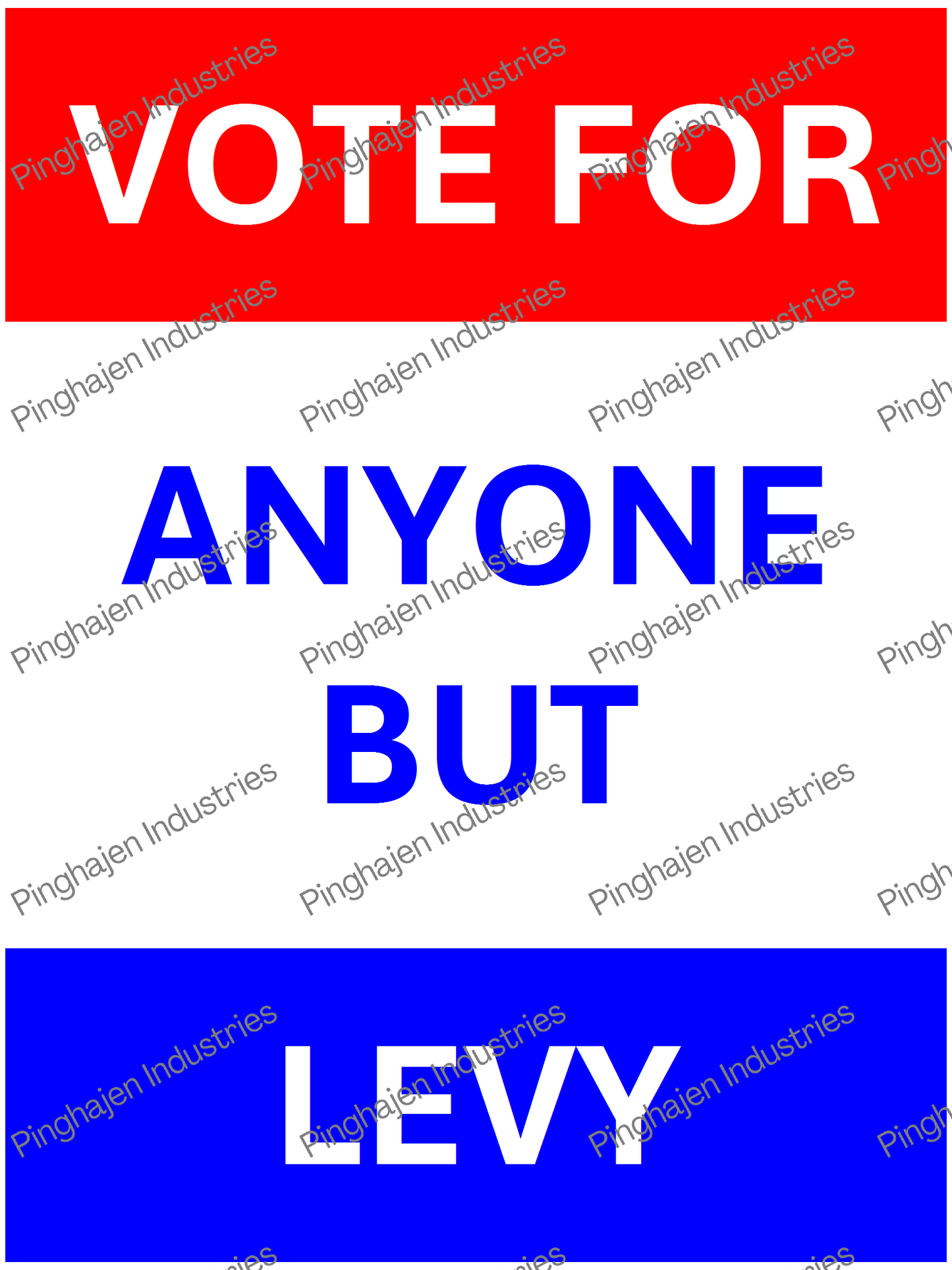 Vote for anyone but LEVY | Unisex Classic Tee | Gildan 5000
