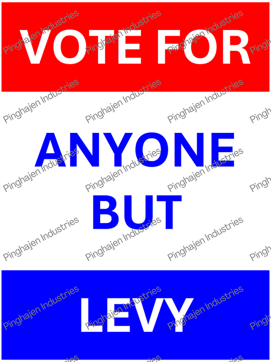 Vote for anyone but LEVY | Unisex Classic Tee | Gildan 5000