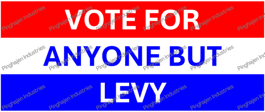 Vote for anyone but LEVY | White Glossy Mug