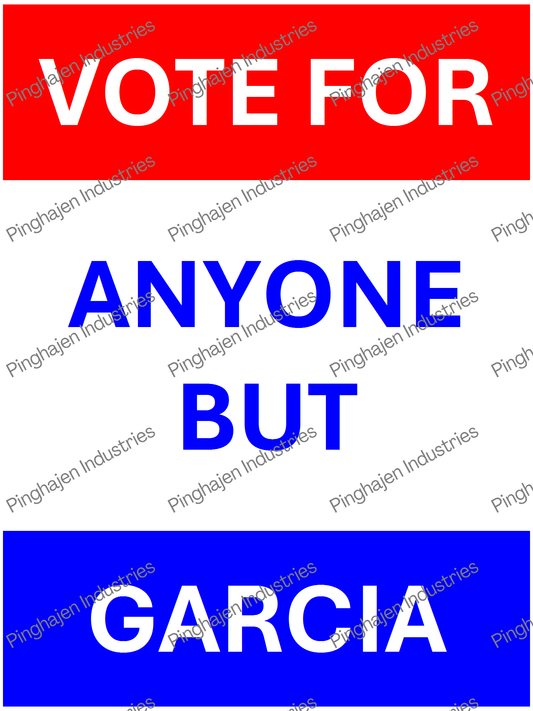 Vote for anyone but GARCIA | Unisex Classic Tee | Gildan 5000