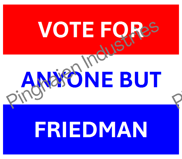 Vote for anyone but FRIEDMAN | Unisex Classic Tee | Gildan 5000