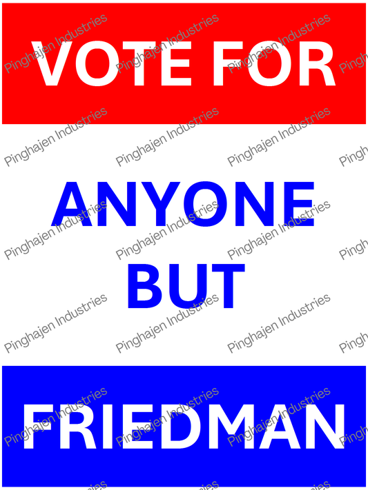 Vote for anyone but FRIEDMAN | Unisex Classic Tee | Gildan 5000