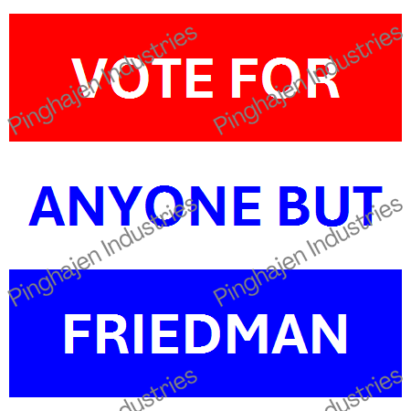 Vote for anyone but FRIEDMAN | Unisex Classic Tee | Gildan 5000