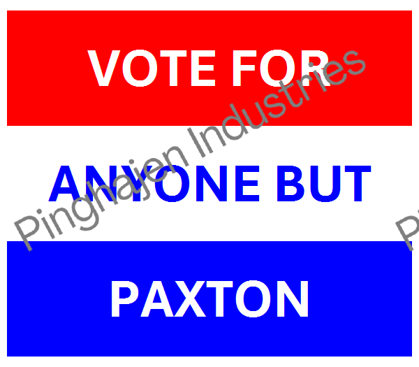 Vote for anyone but PAXTON | Unisex Classic Tee | Gildan 5000