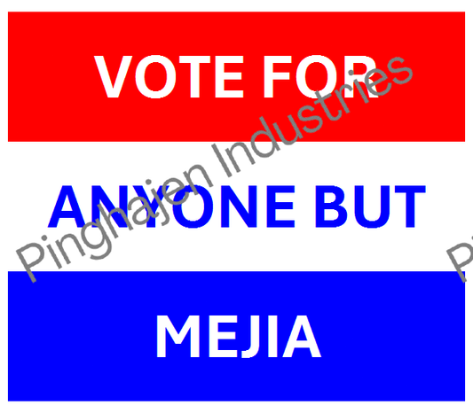 Vote for anyone but MEJIA | Unisex Classic Tee | Gildan 5000