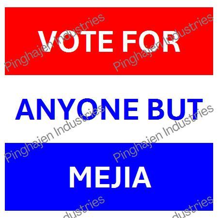 Vote for anyone but MEJIA | Unisex Classic Tee | Gildan 5000