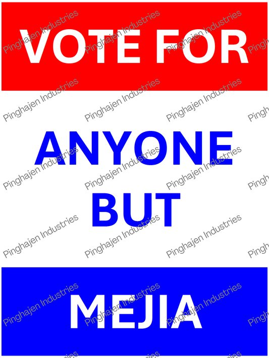 Vote for anyone but MEJIA | Unisex Classic Tee | Gildan 5000