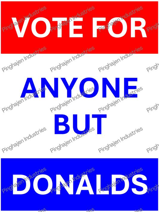 Vote for anyone but DONALDS | Unisex Classic Tee | Gildan 5000