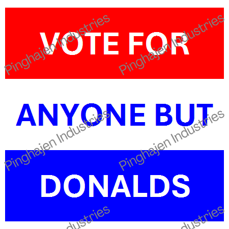 Vote for anyone but DONALDS | Unisex Classic Tee | Gildan 5000