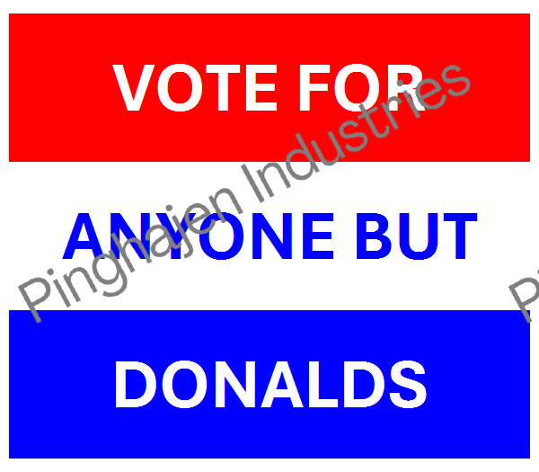 Vote for anyone but DONALDS | Unisex Classic Tee | Gildan 5000