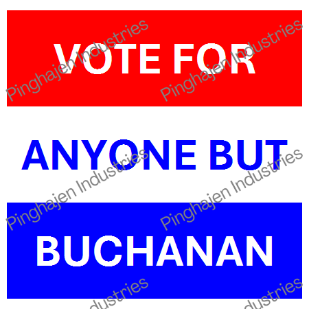 Vote for anyone but BUCHANAN | Unisex Classic Tee | Gildan 5000