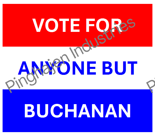 Vote for anyone but BUCHANAN | Unisex Classic Tee | Gildan 5000