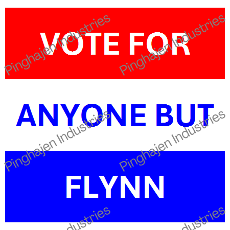 Vote for anyone but FLYNN | Unisex Classic Tee | Gildan 5000