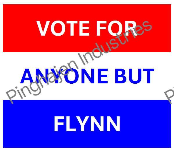 Vote for anyone but FLYNN | Unisex Classic Tee | Gildan 5000