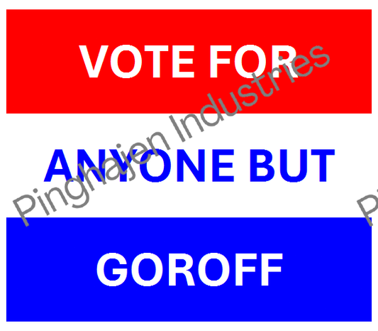 Vote for anyone but GOROFF | Unisex Classic Tee | Gildan 5000