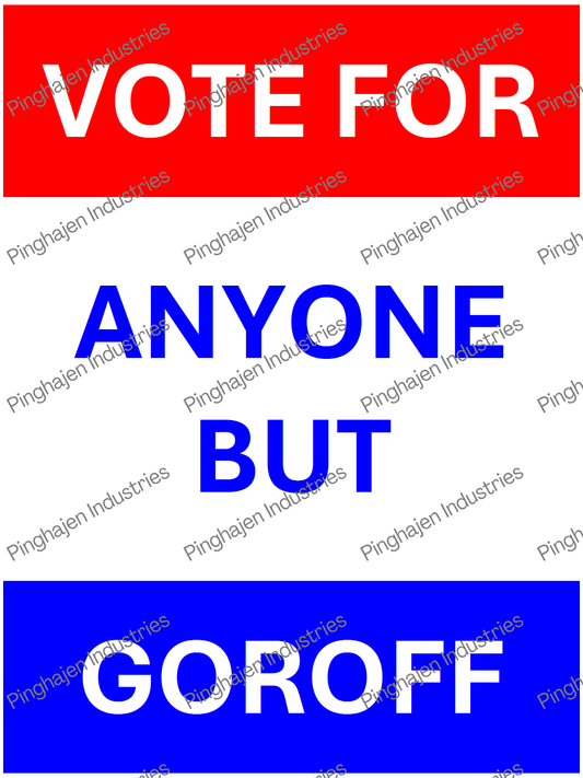 Vote for anyone but GOROFF | Unisex Classic Tee | Gildan 5000