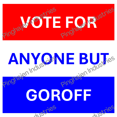 Vote for anyone but GOROFF | Unisex Classic Tee | Gildan 5000