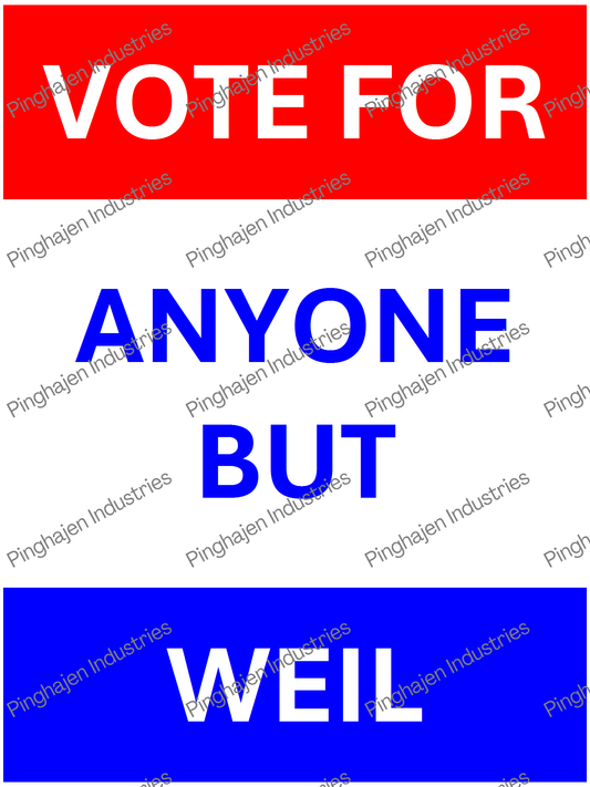 Vote for anyone but WEIL | Unisex Classic Tee | Gildan 5000