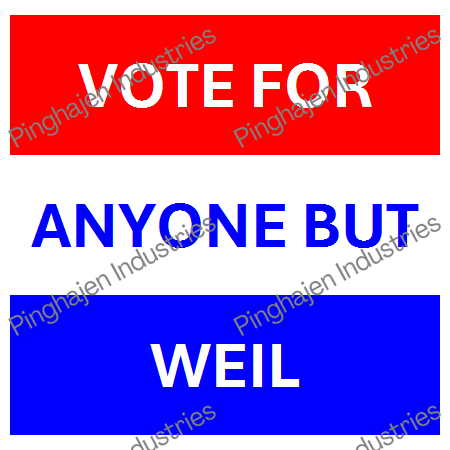 Vote for anyone but WEIL | Unisex Classic Tee | Gildan 5000