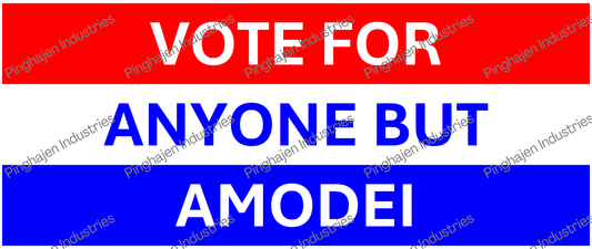 Vote for anyone but AMODEI | White Glossy Mug