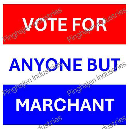 Vote for anyone but MARCHANT | Unisex Classic Tee | Gildan 5000