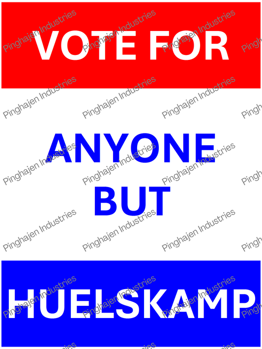 Vote for anyone but HUELSKAMP | Unisex Classic Tee | Gildan 5000