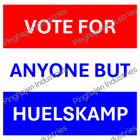 Vote for anyone but HUELSKAMP | Unisex Classic Tee | Gildan 5000