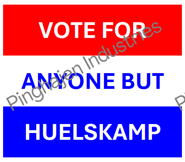Vote for anyone but HUELSKAMP | Unisex Classic Tee | Gildan 5000