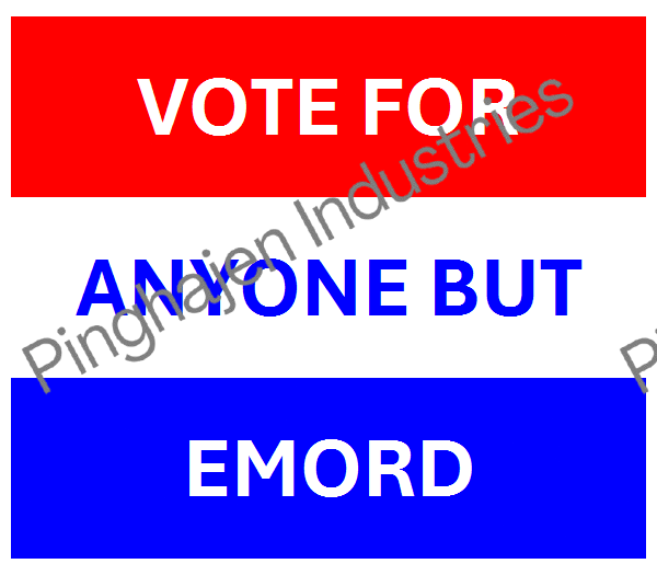 Vote for anyone but EMORD | Unisex Classic Tee | Gildan 5000