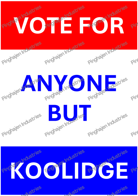 Vote for anyone but KOOLIDGE | Kiss-Cut Sticker Sheet
