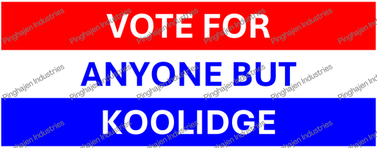 Vote for anyone but KOOLIDGE | White Glossy Mug